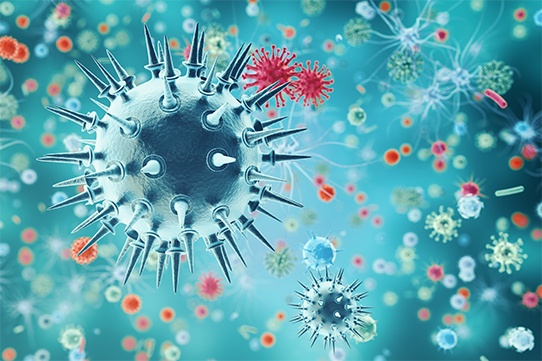 The amination of virus and bacteria's infectious Diseases