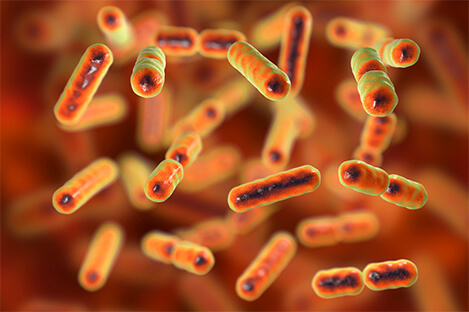 Small Bowel Bacterial Overgrowth